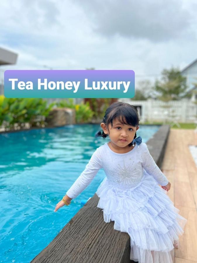 Вілла Tea Honey Luxury Malacca Екстер'єр фото